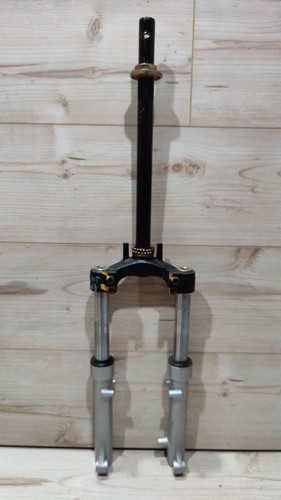 Ningbo elektro guewer scoody - elektro,